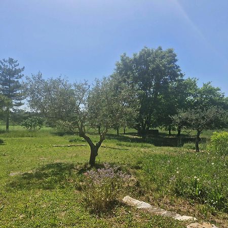 Appartamento La Bastideta, Fayence Esterno foto