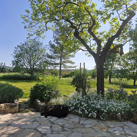 Appartamento La Bastideta, Fayence Esterno foto