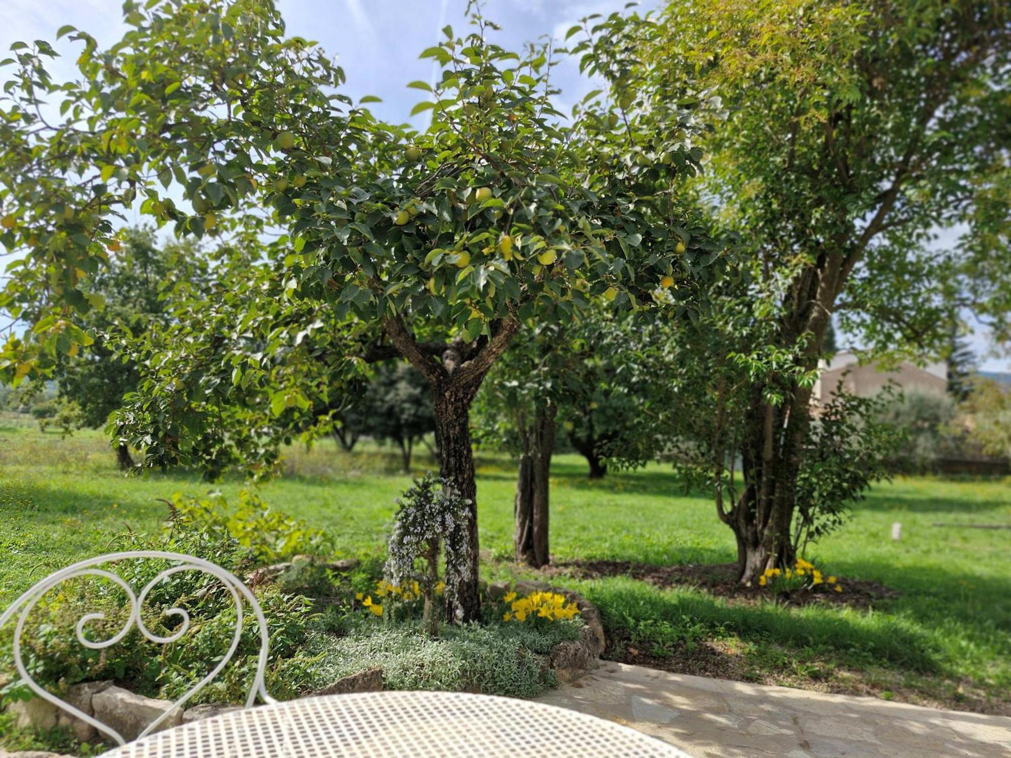 Appartamento La Bastideta, Fayence Esterno foto