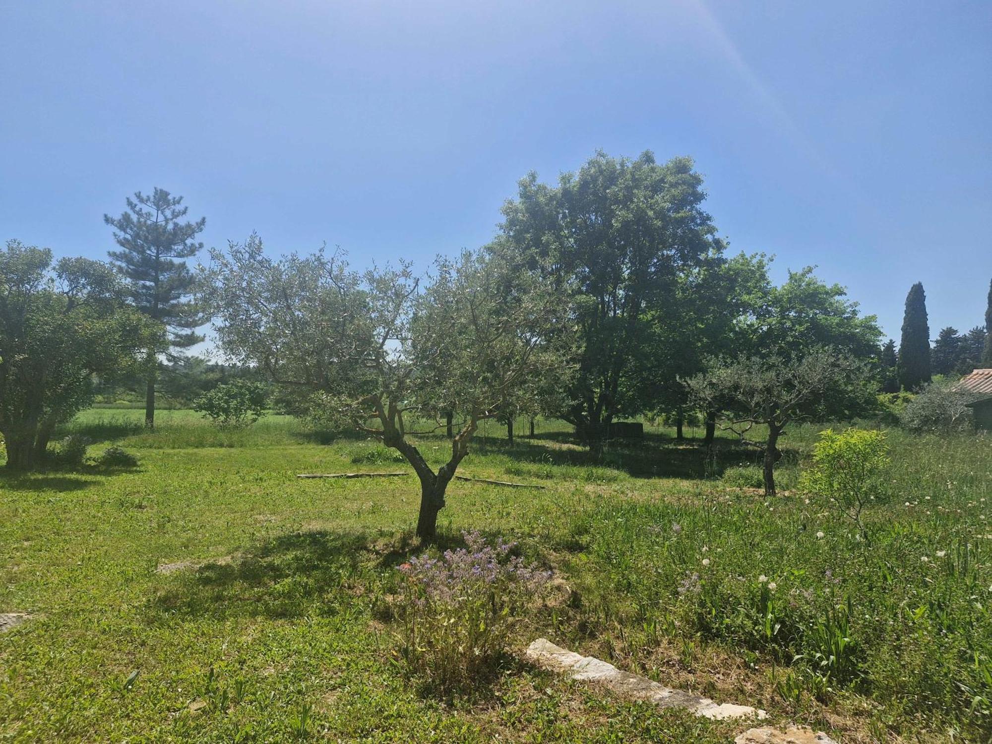 Appartamento La Bastideta, Fayence Esterno foto