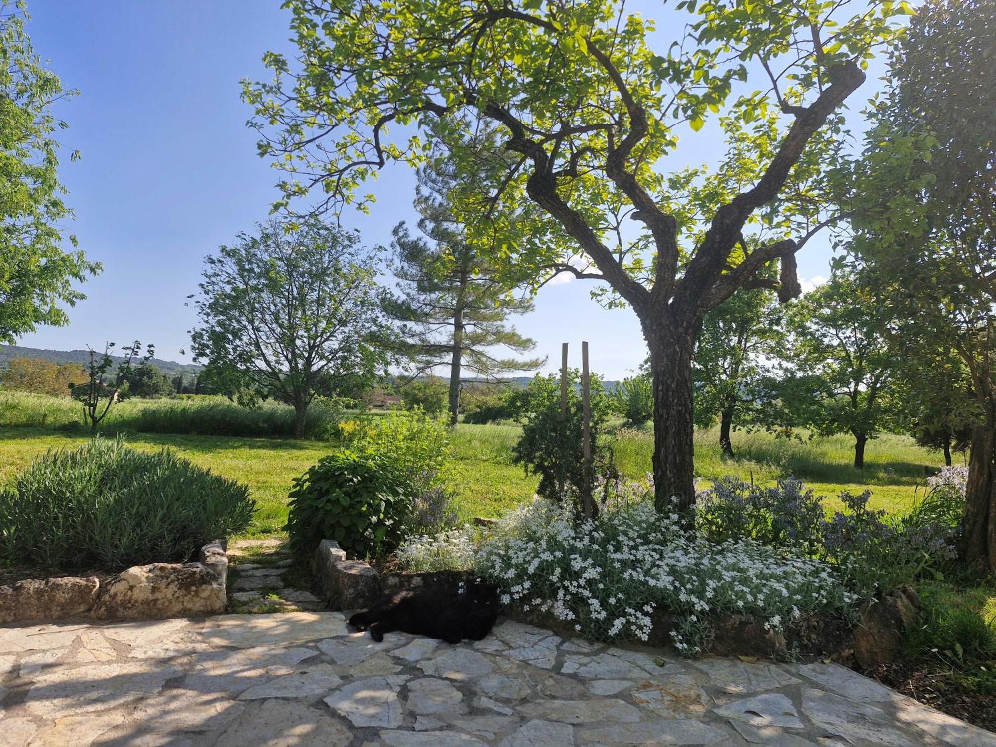 Appartamento La Bastideta, Fayence Esterno foto